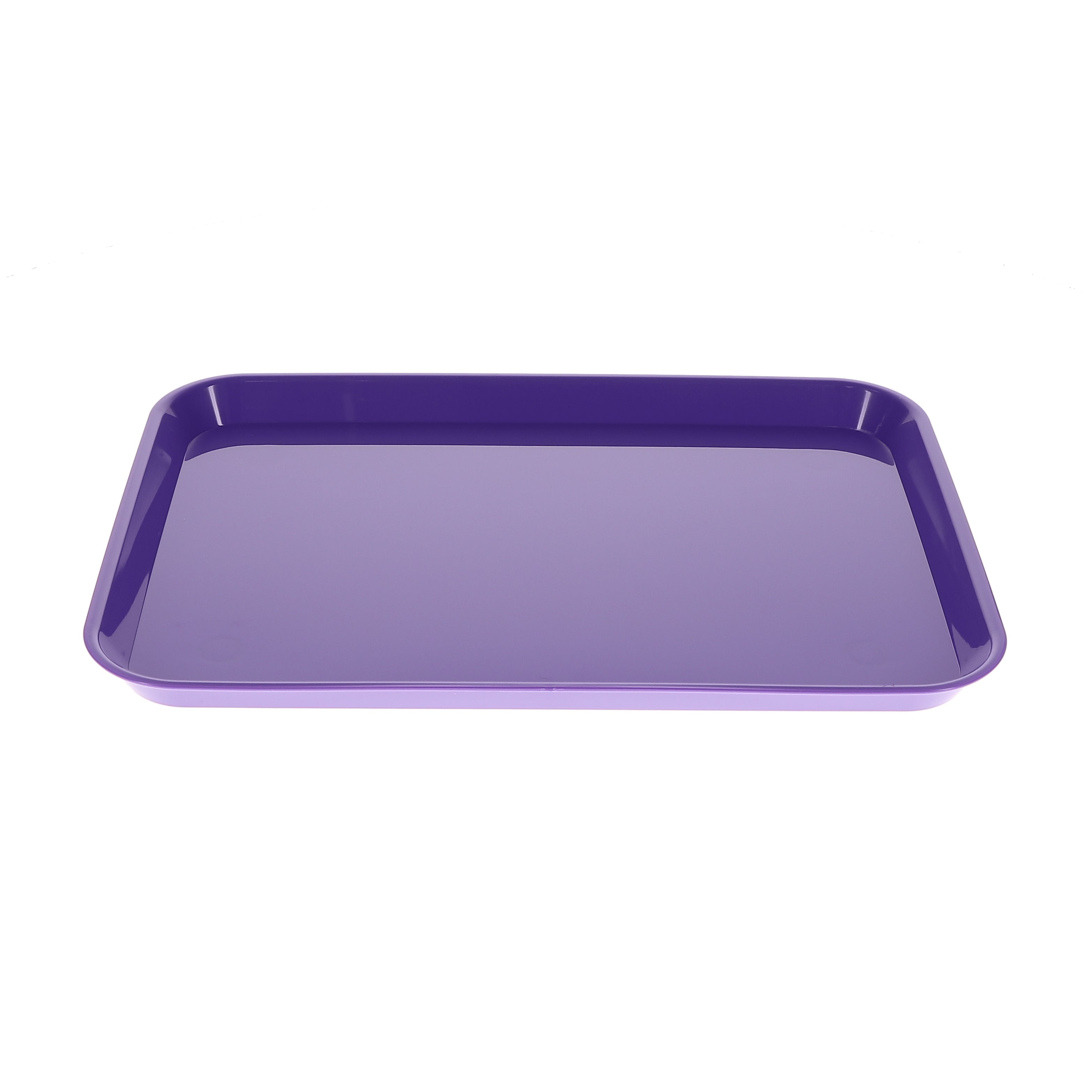 House Brand Dentistry 108143 HSB Set-Up Tray Flat #B Ritter Purple Plastic 13-3/8