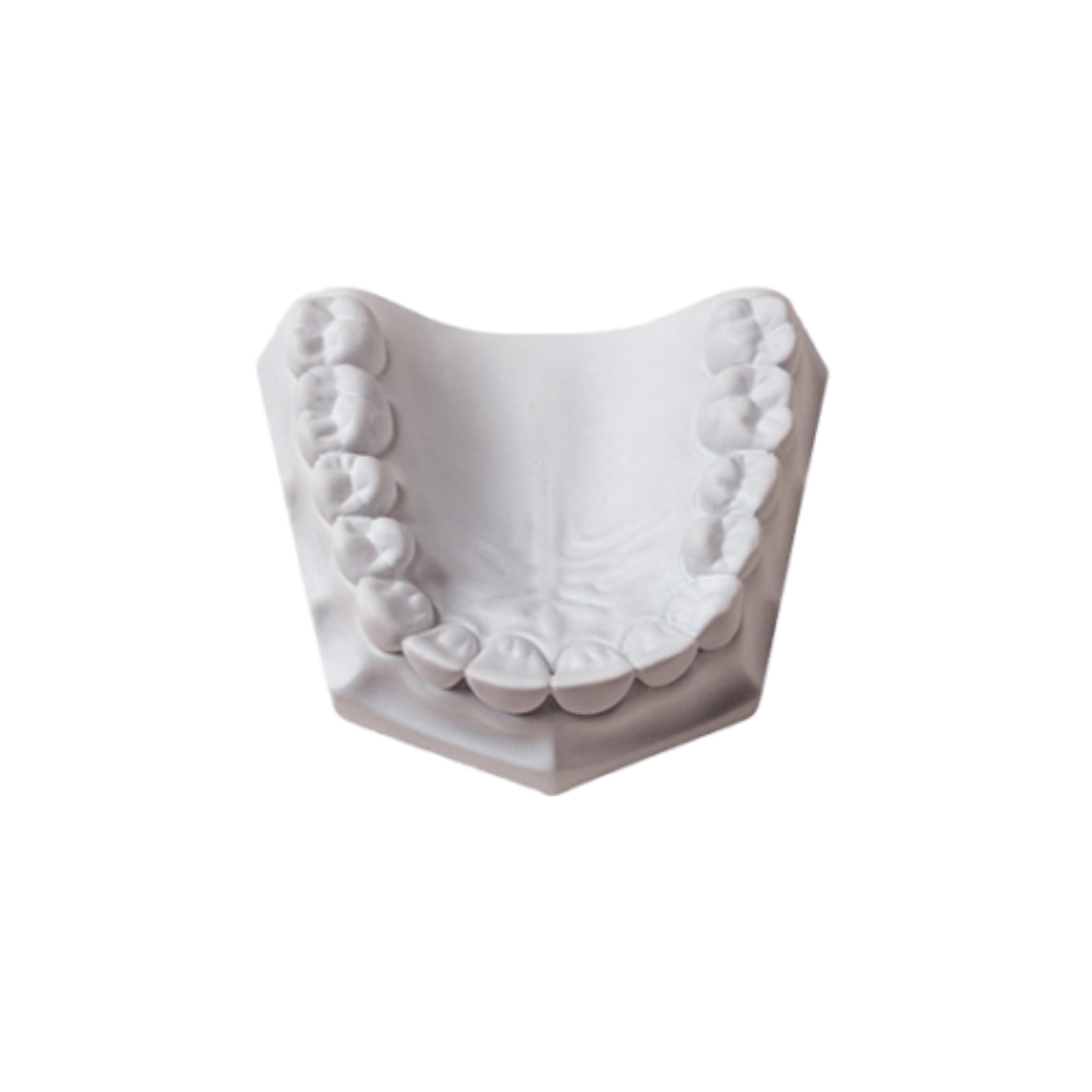 Whip-Mix 330055 Microstone Dental Lab Stone White 33 Lbs 15 Kg