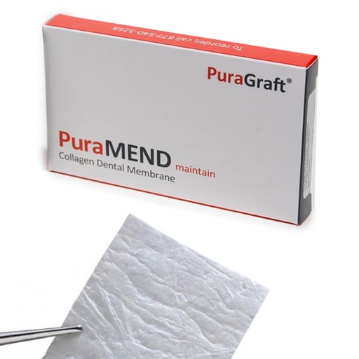 Puragraft PGBM30 Puramend Maintain Collagen Membrane 30