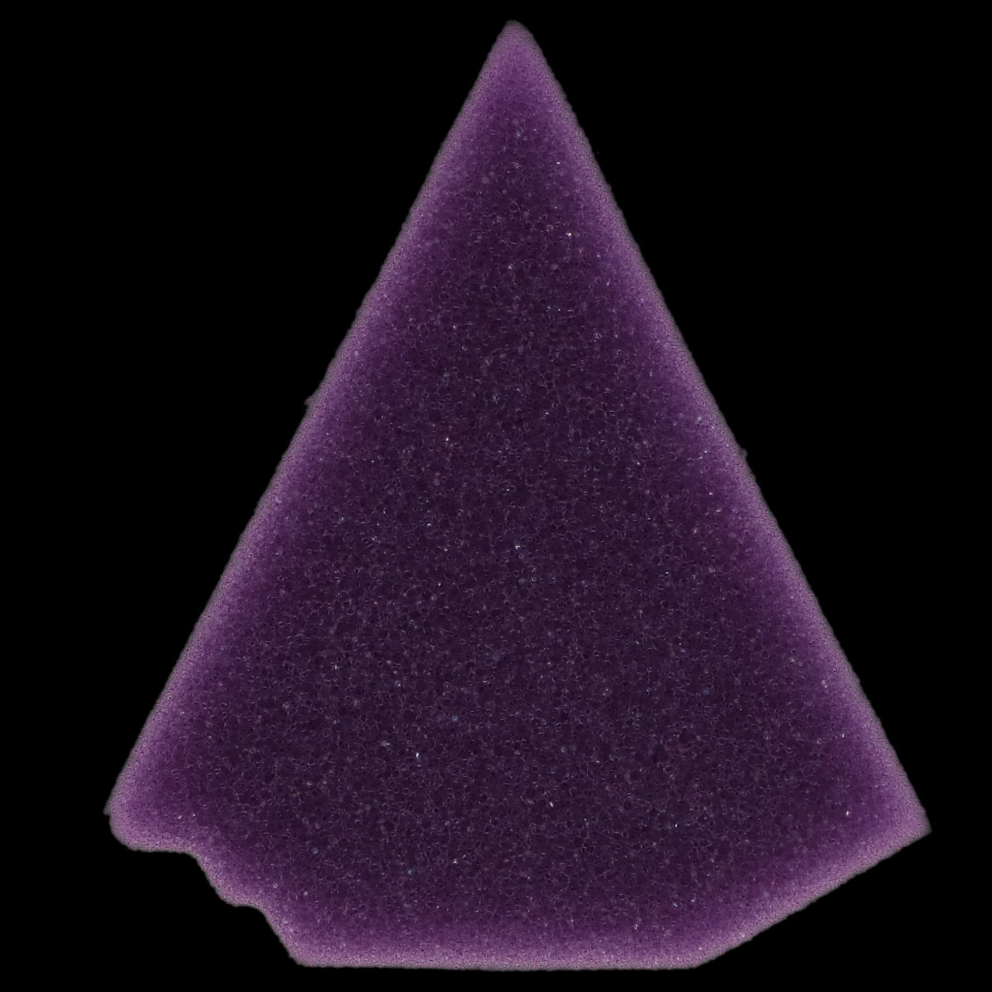 Pac-Dent 803L Endo Foam Triangular Lavender Autoclavable Organizer 50/Pk