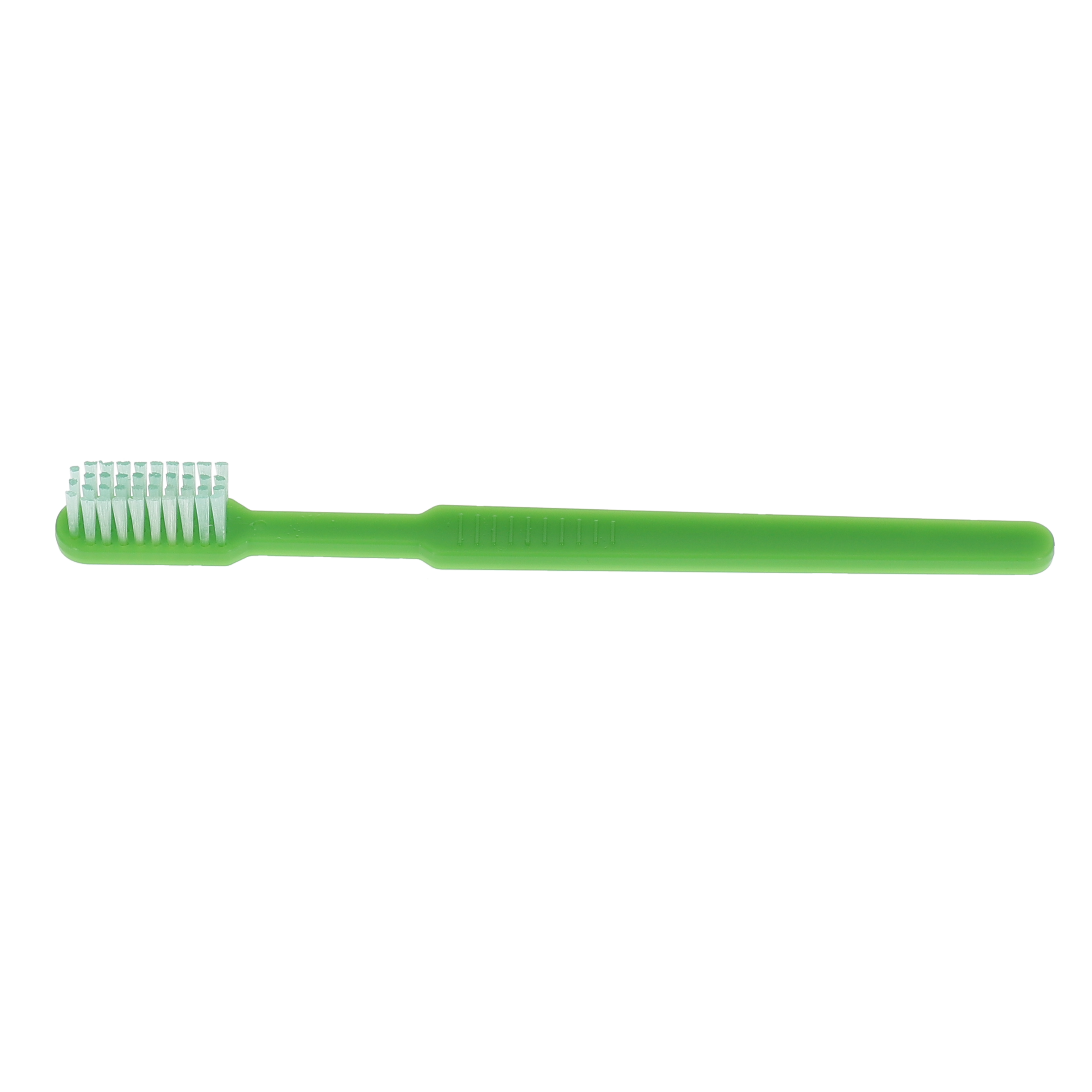 House Brand Dentistry 500172 HSB Disposable Toothbrushes With Paste 72/Pk
