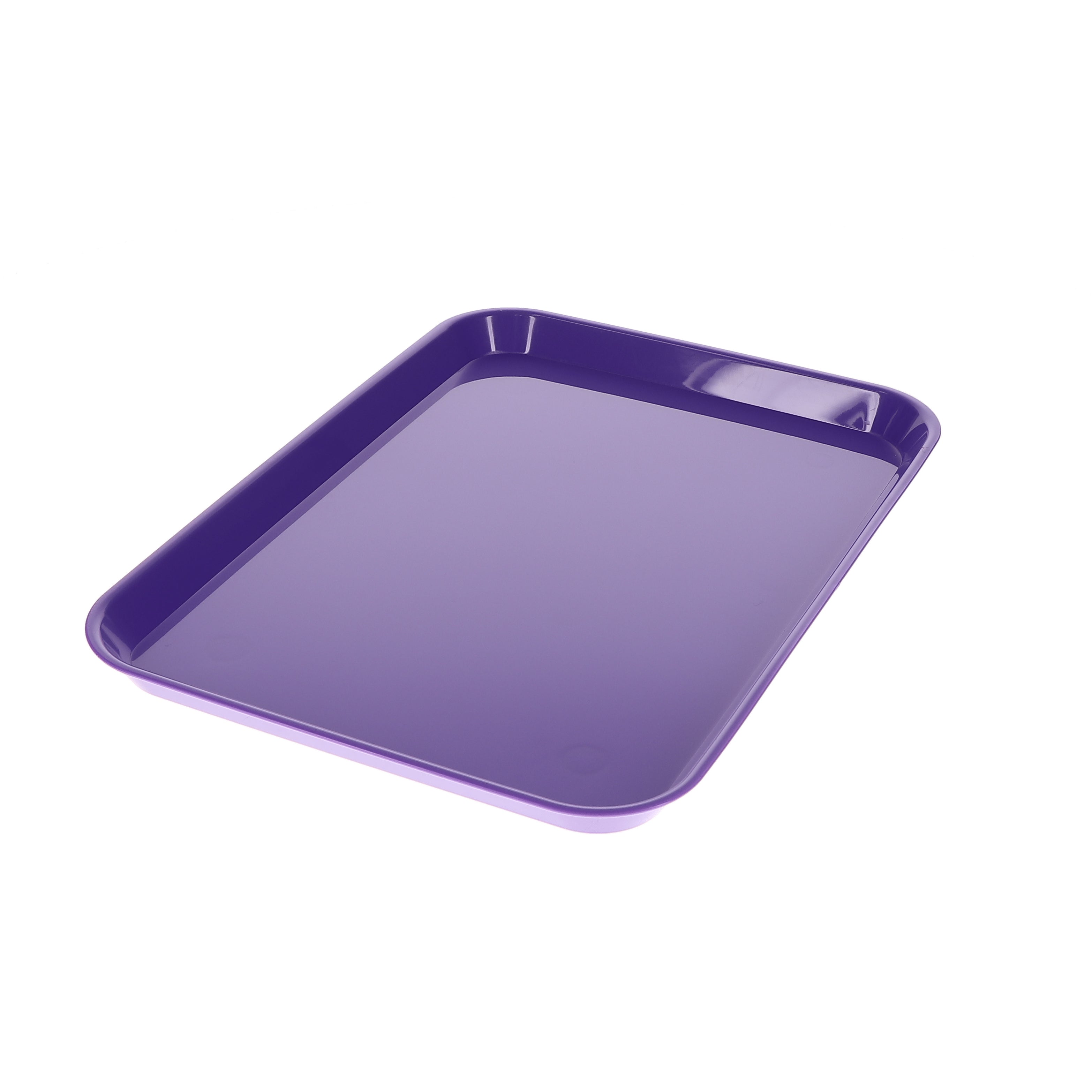 House Brand Dentistry 108143 HSB Set-Up Tray Flat #B Ritter Purple Plastic 13-3/8