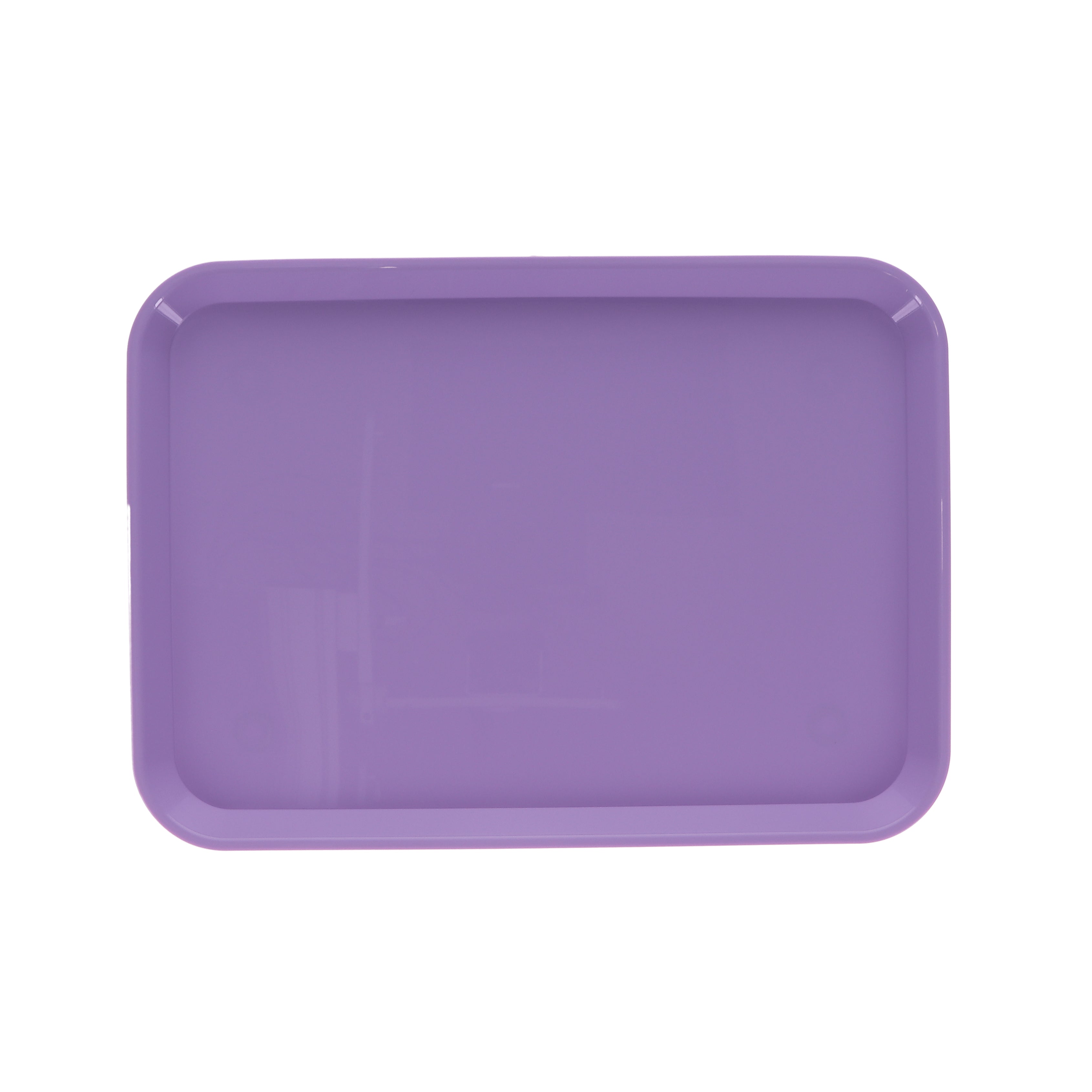 House Brand Dentistry 108135 HSB Set-up Tray Flat #B Ritter Mauve Plastic 13-3/8