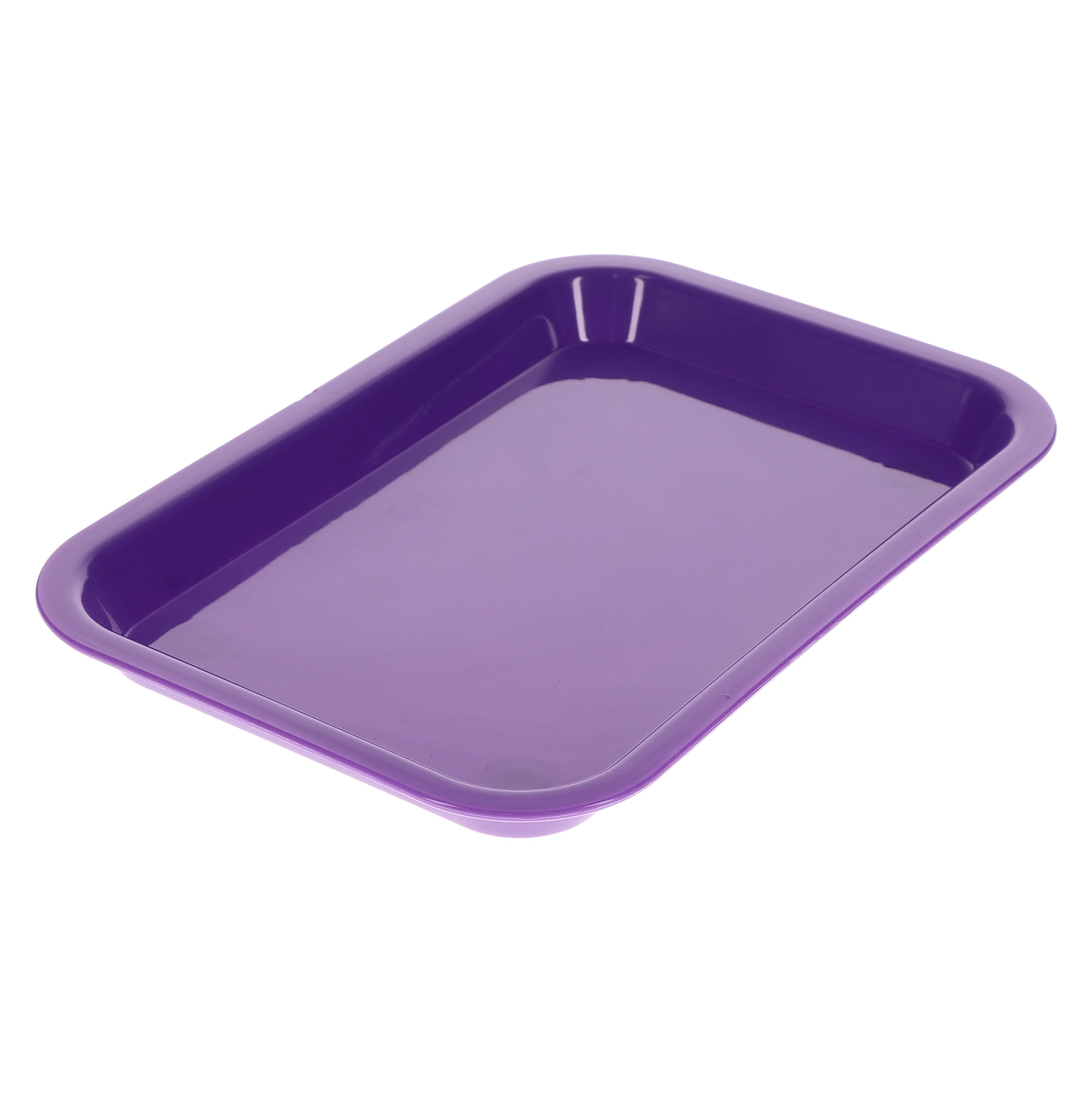 House Brand Dentistry 108153 HSB Set-Up Tray Flat #F Purple Plastic 9-5/8