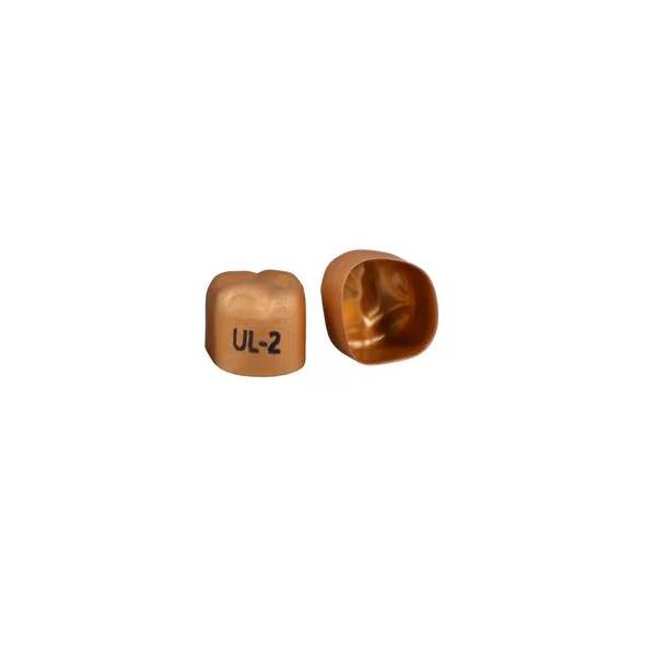 3M Solventum 40312 Unitek Crowns Anodized Gold 1st Molar Upper Left #2 5/Bx