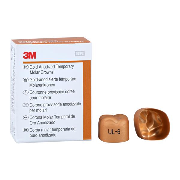 3M Solventum 940316 Gold Anodized Dental Crown Forms #6 Upper Left 5/Pk