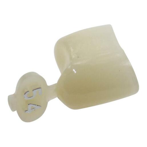 Directa 609254 Polycarbonate Dental Crowns #54 Lower Bicuspid Long 5/Pk