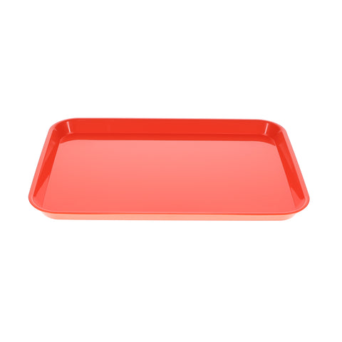 House Brand Dentistry 108139 HSB Set-Up Tray Flat #B Ritter Flame Plastic 13-3/8" X 9-5/8" X 7/8"