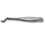 House Brand Dentistry 300286 HSB Dental Extraction Forceps #10S