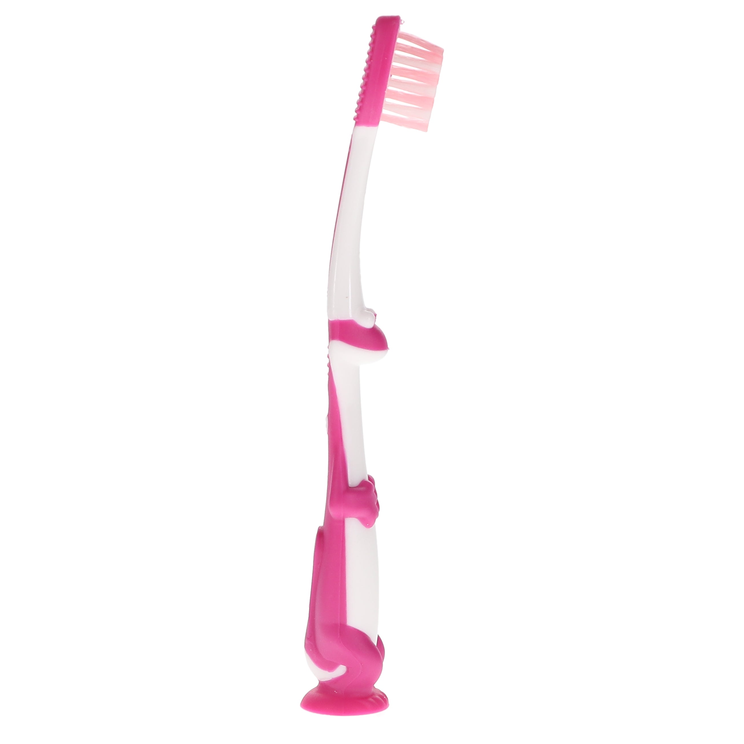 House Brand Dentistry 500160 HSB Child Toothbrushes With Suction Cup On Bottom 26 Tuft Extra Soft Dinosaur 72/Pk