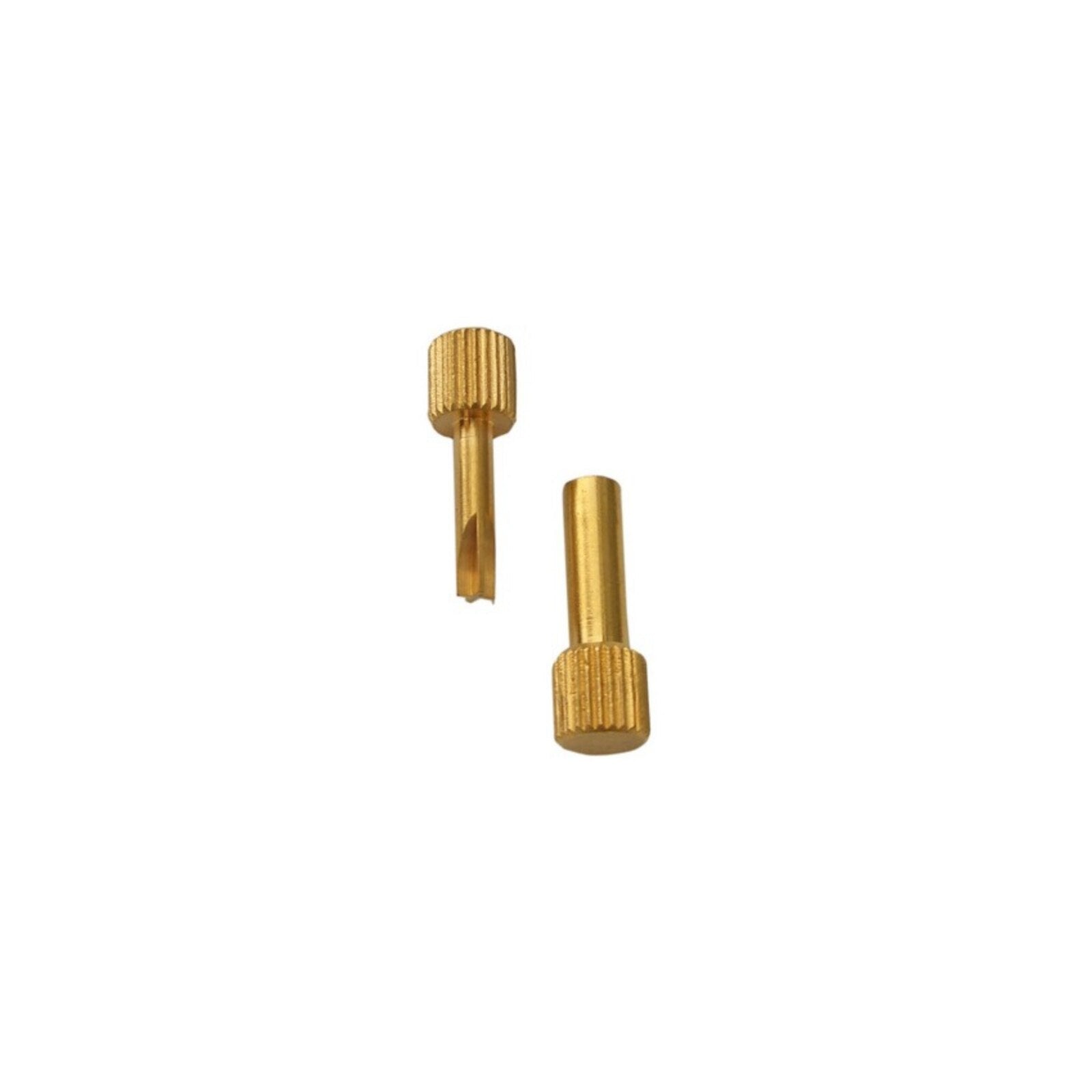 Johnson Promident DW Dentatus Screw Key Endodontic Posts 2/Pk