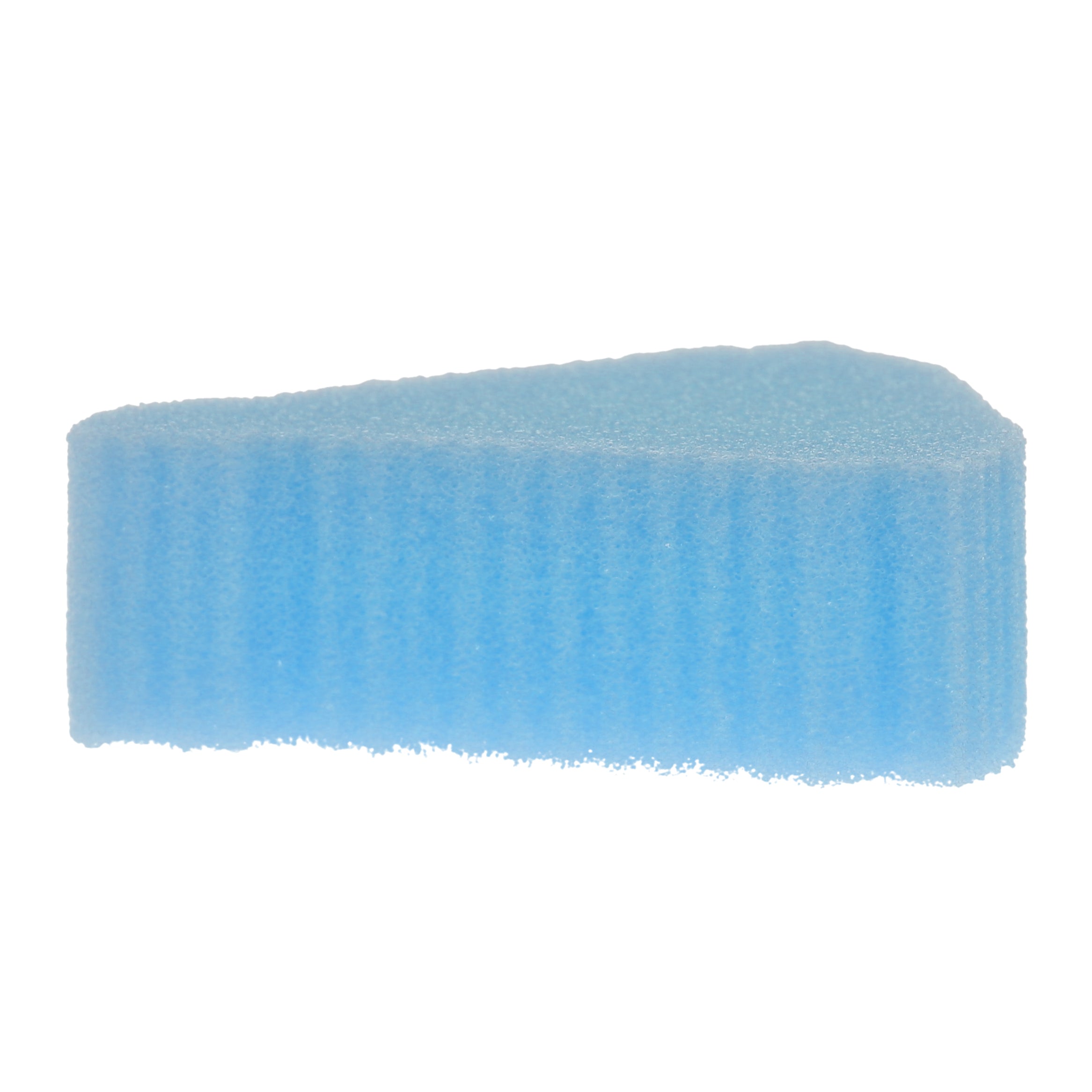 House Brand Dentistry 108182 HSB Endodontic Foam Inserts Blue 48/Pk