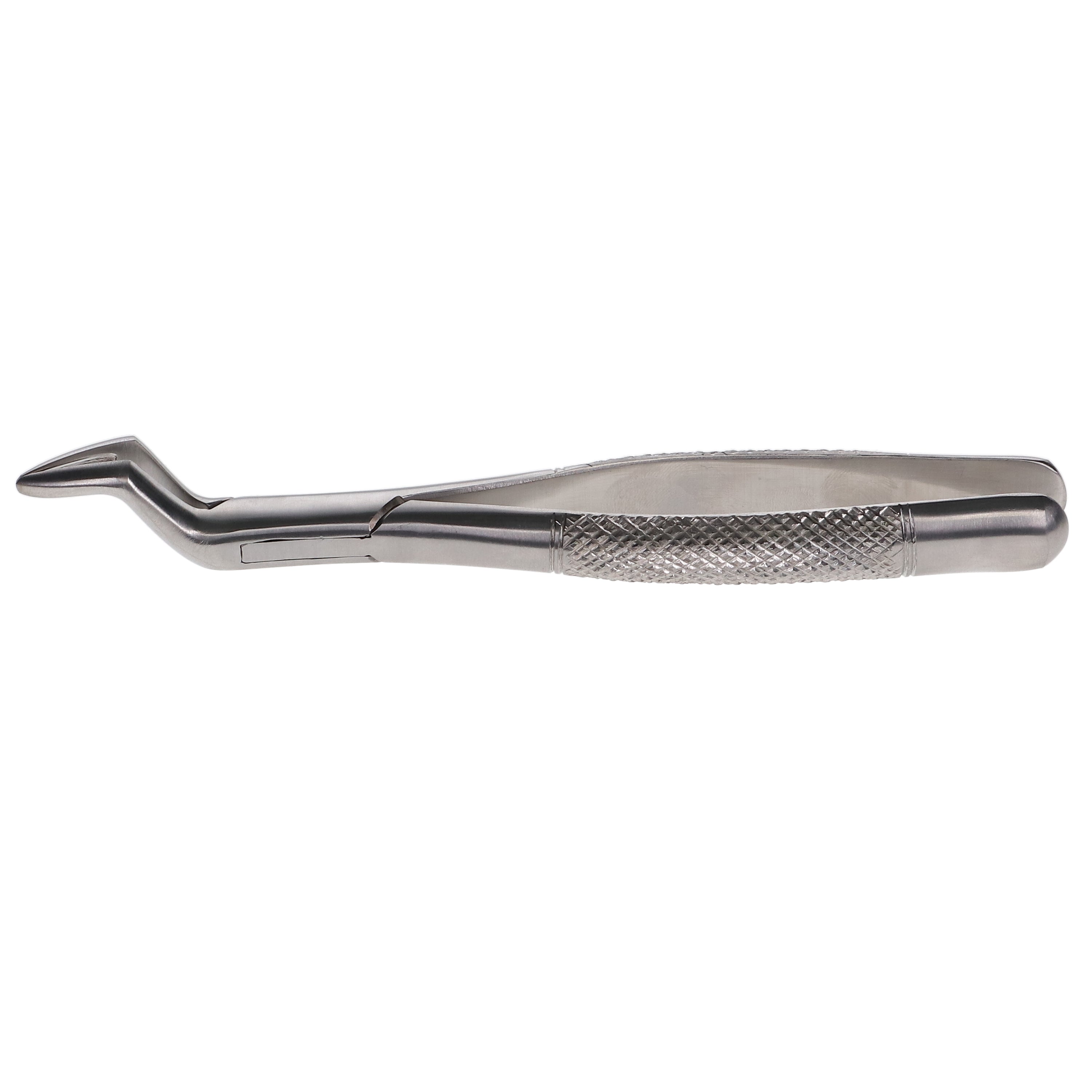 House Brand Dentistry 300302 HSB Dental Extraction Forceps #286