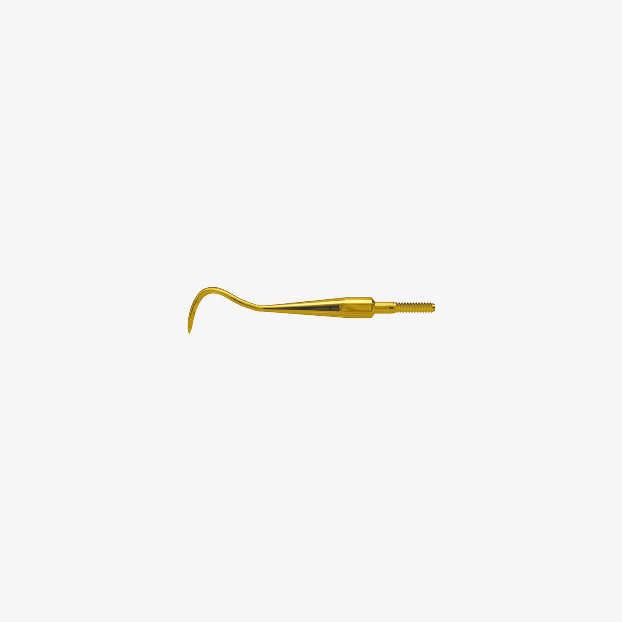 American Eagle Instrument AESECAXPQT Eagle Claw #A Dental Scaler XP Quik Tip