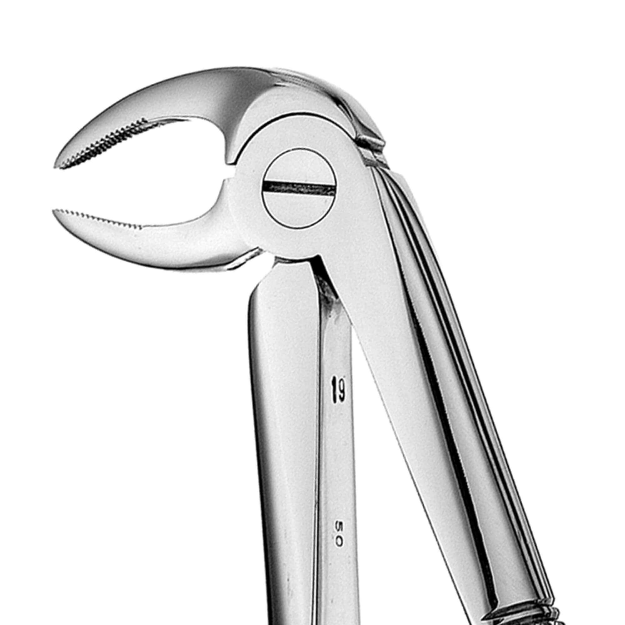 Hu-Friedy FX33 Dental Extraction Forceps European Style #33 Serrated
