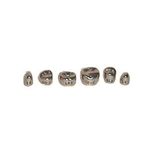 House Brand EV2UL4 Evolve Stainless Steel Primary Molar Crowns 2nd Upper Left #4 5/Pk