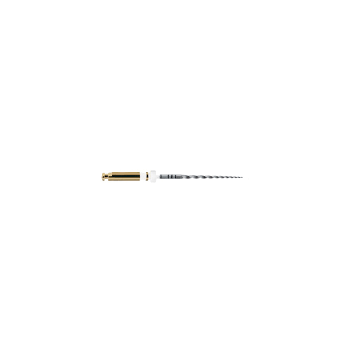 Dentsply Maillefer A041022110212 ProTaper Universal Rotary File 21mm S2 6/Pk