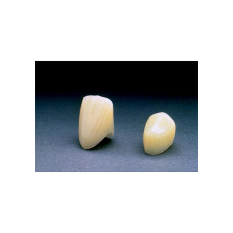 3M ESPE P64 Polycarbonate #64 Lower Anterior Incisor Long Large Crown Forms 5/Pk