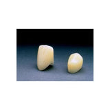 3M ESPE P41 Polycarbonate #41 1st Bicuspid Polycarbonate Crown Form 5/Bx