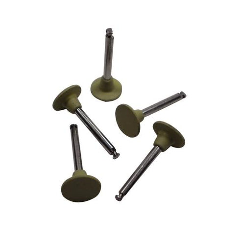 Ivoclar Vivadent 557620 Astropol P Polishers Brush Discs Latch Type Green 6/Pk