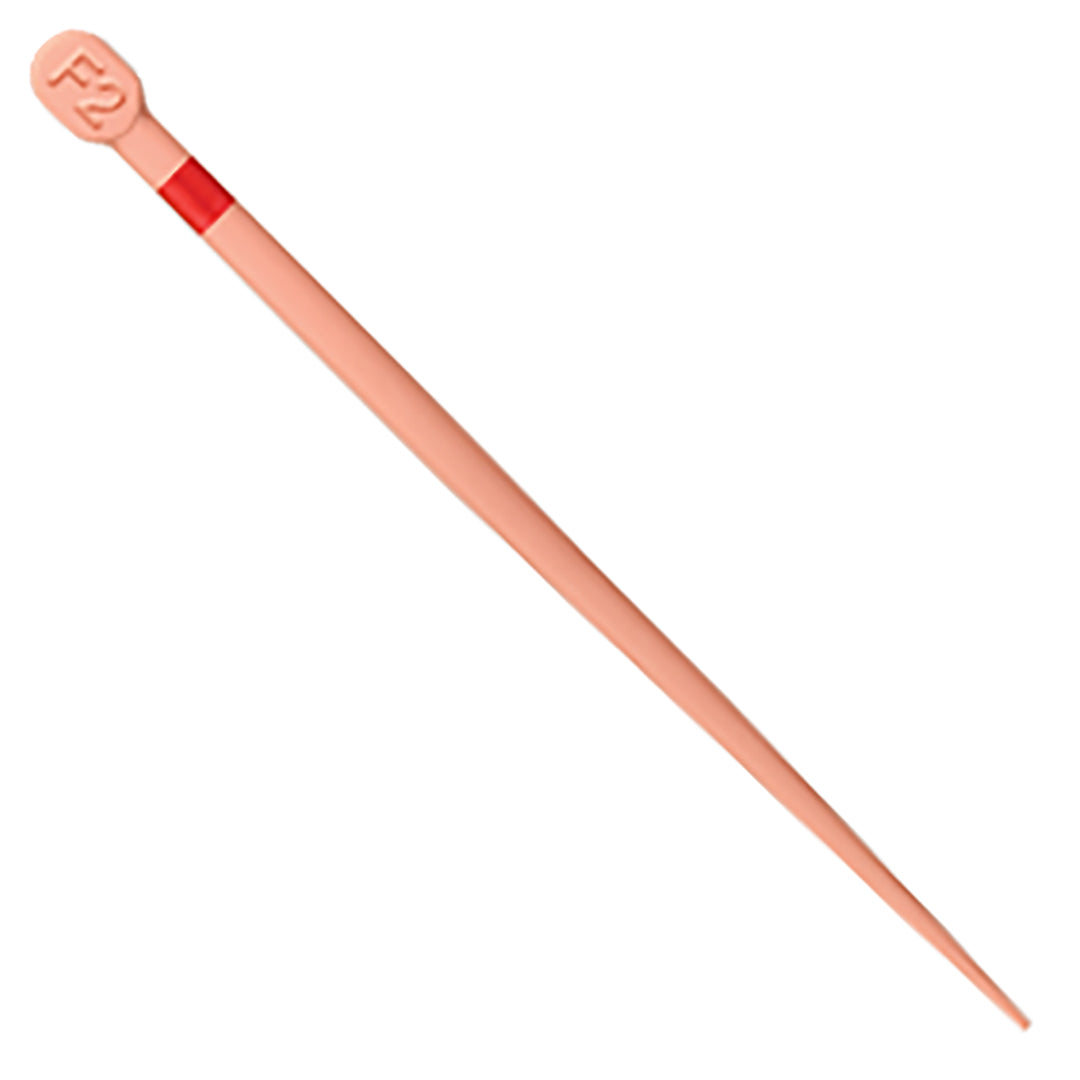 Dentsply Maillefer B00PGGPF000F2 ProTaper Gold Conform Gutta Percha Points F2 60/Pk