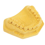 House Brand Dentistry Dental Labstone Yellow Buff 3-5 Work 8-9 Set 25 Lb