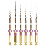 Dentsply Maillefer A0410225G0103 ProTaper Gold Rotary Files 25mm S1 Purple 6/Pk